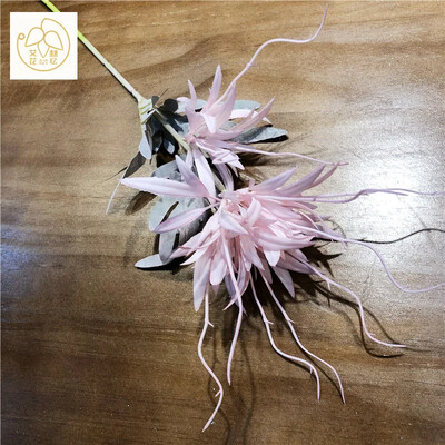 Simulacija Stabljika Plamen Epiphyllum Plastična Zmajeva brada Lažni cvijet Dnevni boravak Blagovaonica Vjenčanje Umjetno cvijeće Uređenje doma