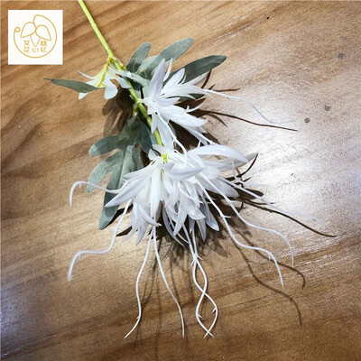 Simulacija Stabljika Plamen Epiphyllum Plastična Zmajeva brada Lažni cvijet Dnevni boravak Blagovaonica Vjenčanje Umjetno cvijeće Uređenje doma