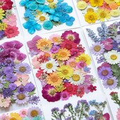 1 maisiņš, kaltēti ziedi, presēti ziedi, uzlīmes tālruņa korpusam, rotaslietas, amatniecība, nagu māksla