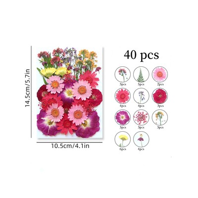 1 maisiņš, kaltēti ziedi, presēti ziedi, uzlīmes tālruņa korpusam, rotaslietas, amatniecība, nagu māksla