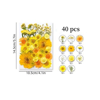 1 maisiņš, kaltēti ziedi, presēti ziedi, uzlīmes tālruņa korpusam, rotaslietas, amatniecība, nagu māksla