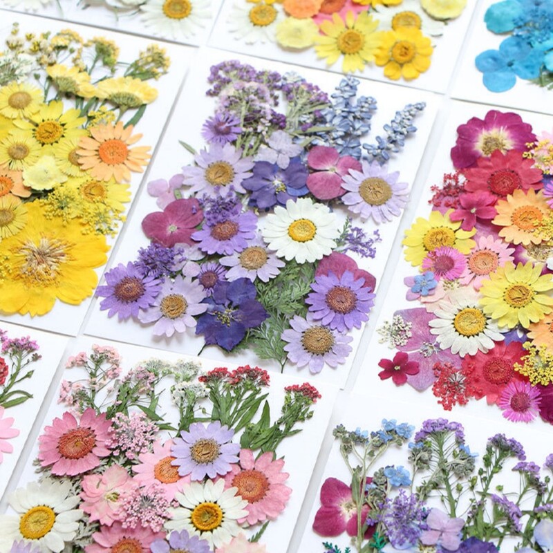 1 maisiņš, kaltēti ziedi, presēti ziedi, uzlīmes tālruņa korpusam, rotaslietas, amatniecība, nagu māksla