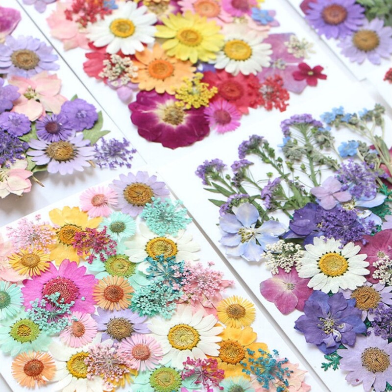 1 maisiņš, kaltēti ziedi, presēti ziedi, uzlīmes tālruņa korpusam, rotaslietas, amatniecība, nagu māksla