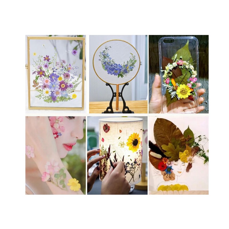 1 maisiņš, kaltēti ziedi, presēti ziedi, uzlīmes tālruņa korpusam, rotaslietas, amatniecība, nagu māksla