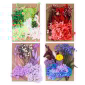 Πραγματικά αποξηραμένα λουλούδια για DIY Σελιδοδείκτης Γεμίσματα για Κεριά Φυσικά Πεπιεσμένα Λουλούδια Διακοσμήσεις τέχνης με πέταλα