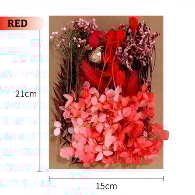 Πραγματικά αποξηραμένα λουλούδια για DIY Σελιδοδείκτης Γεμίσματα για Κεριά Φυσικά Πεπιεσμένα Λουλούδια Διακοσμήσεις τέχνης με πέταλα