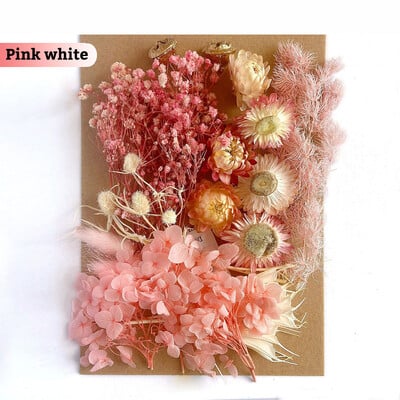 Πραγματικά αποξηραμένα λουλούδια για DIY Σελιδοδείκτης Γεμίσματα για Κεριά Φυσικά Πεπιεσμένα Λουλούδια Διακοσμήσεις τέχνης με πέταλα