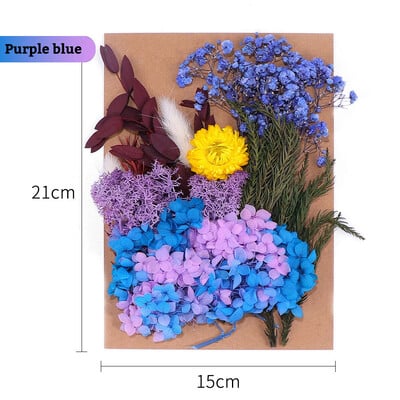 Πραγματικά αποξηραμένα λουλούδια για DIY Σελιδοδείκτης Γεμίσματα για Κεριά Φυσικά Πεπιεσμένα Λουλούδια Διακοσμήσεις τέχνης με πέταλα