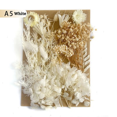 Πραγματικά αποξηραμένα λουλούδια για DIY Σελιδοδείκτης Γεμίσματα για Κεριά Φυσικά Πεπιεσμένα Λουλούδια Διακοσμήσεις τέχνης με πέταλα