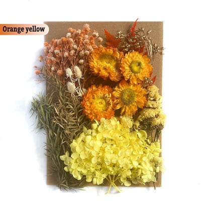 Πραγματικά αποξηραμένα λουλούδια για DIY Σελιδοδείκτης Γεμίσματα για Κεριά Φυσικά Πεπιεσμένα Λουλούδια Διακοσμήσεις τέχνης με πέταλα