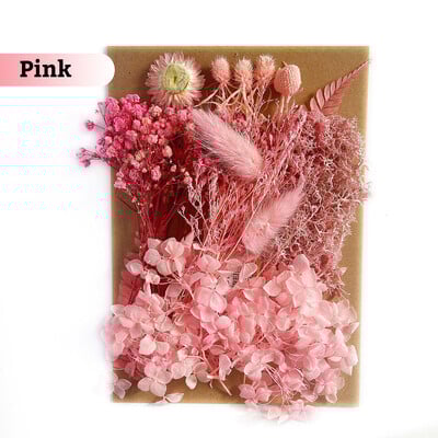 Πραγματικά αποξηραμένα λουλούδια για DIY Σελιδοδείκτης Γεμίσματα για Κεριά Φυσικά Πεπιεσμένα Λουλούδια Διακοσμήσεις τέχνης με πέταλα