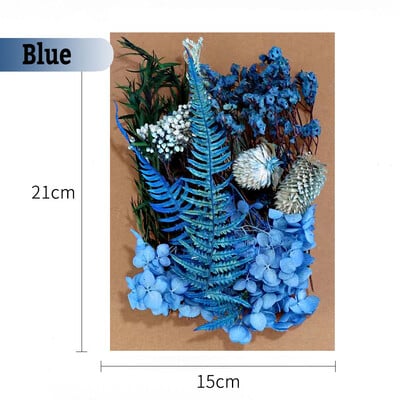 Πραγματικά αποξηραμένα λουλούδια για DIY Σελιδοδείκτης Γεμίσματα για Κεριά Φυσικά Πεπιεσμένα Λουλούδια Διακοσμήσεις τέχνης με πέταλα