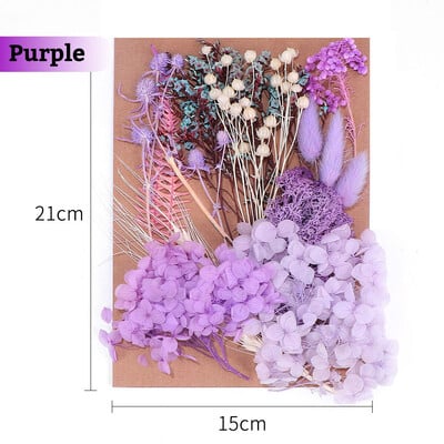 Πραγματικά αποξηραμένα λουλούδια για DIY Σελιδοδείκτης Γεμίσματα για Κεριά Φυσικά Πεπιεσμένα Λουλούδια Διακοσμήσεις τέχνης με πέταλα