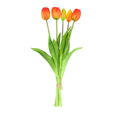 5vnt/puokštė Dirbtinės tulpės silikoninės gėlės stiebai Real Feel PE tulpės Velykų pavasario vainiko vestuvių vakarėlio vazos dekoravimui