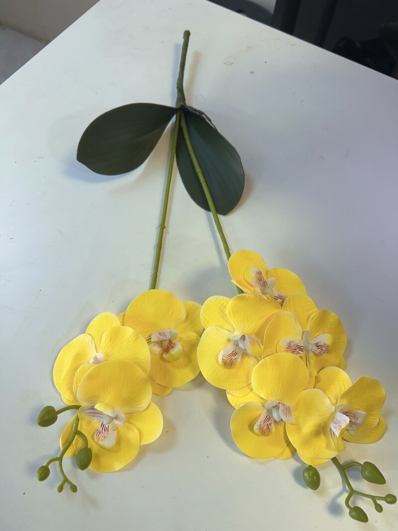 2 vetvičky motýľej orchidey s listom umelý kvet skutočný dotyk umelý kvet svadobná dekorácia rekvizity domáci stôl interiérové dekorácie