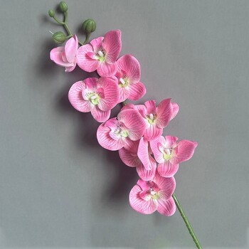 3D Phalaenopsis 69cm 9-Heads Home Supply Τεχνητό λουλούδι 3D Phalaenopsis Real Touch Plants Simulation Butterfly Orchid