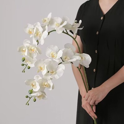 3D Phalaenopsis 69cm 9 capete Aprovizionare pentru acasă Floare artificială 3D Phalaenopsis Real Touch Plante Simulare Fluture Orhidee