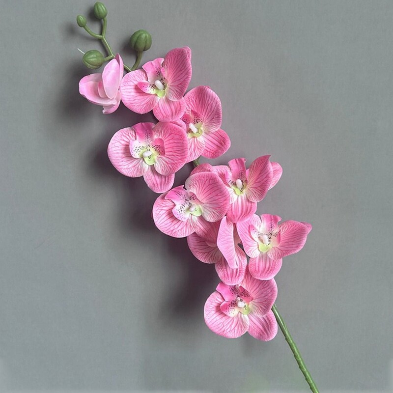 3D Phalaenopsis 69 cm 9-hlavičiek Domáce potreby Umelý kvet 3D Phalaenopsis Skutočné dotykové rastliny Simulácia motýľej orchidey