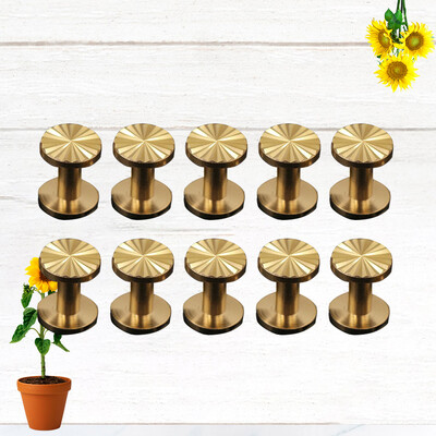 Besiūliai Sraigtiniai Sraigtai Smeigtukai Dygliuotas diržo diržas Nagų kniedės saulėgrąžų dekoratyvinis