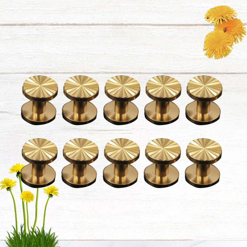 Besiūliai Sraigtiniai Sraigtai Smeigtukai Dygliuotas diržo diržas Nagų kniedės saulėgrąžų dekoratyvinis