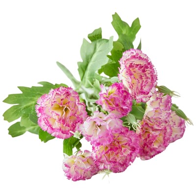 Dirbtinio šilko gėlių gvazdikų puokštė namų sodo dekoras Vestuvių laikymo gėlė Motinos dienos dovanų stalo dekoravimui