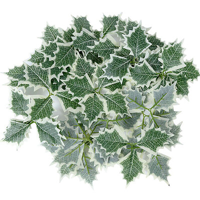 50/5 db mesterséges magyal bogyó zöld levelek barkácsoláshoz karácsonyi koszorú esküvői virág otthon esküvői parti dekoráció hamis bogyók
