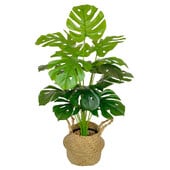 Netikrų augalų modeliavimas didelis vėžlio nugara bambukas namas svetainė vazoninis dekoravimas viešbutis Šiaurės vėjas žalias augalas vonios kambarys s