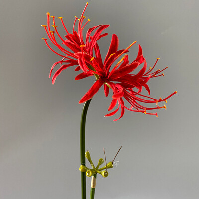 Higanbana Flower filialas šilkinės netikros gėlės namų sodo dekoravimui flores mākslīges