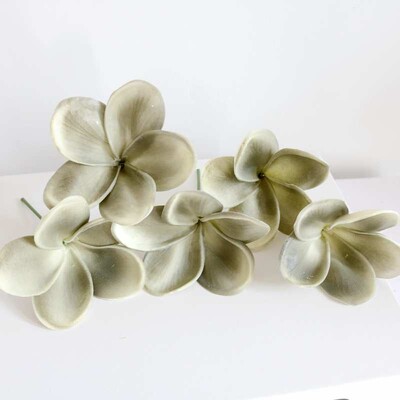20 buc. PU tulpini de flori de păr artificiale de plumeria, flori de frangipani la atingere reală, pentru centre de nuntă, accesorii bricolaj