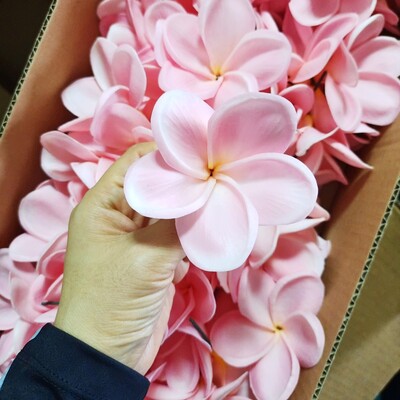 20 buc. PU tulpini de flori de păr artificiale de plumeria, flori de frangipani la atingere reală, pentru centre de nuntă, accesorii bricolaj