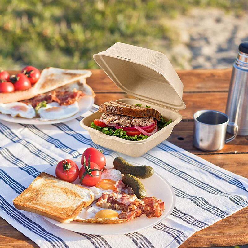 5-10 komada jednokratne bento kutije, kutija za voćnu salatu, hamburger, pulpa, kutija za kolače, prijenosna kutija za pečenje ručka, kutija za pakiranje kolača, posuda za hranu