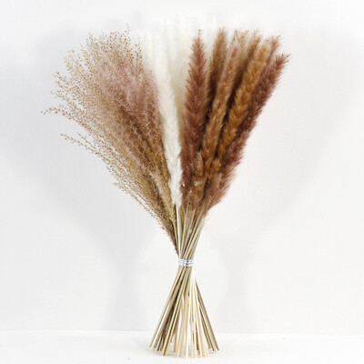 Iepure pufos de iarbă de pampa uscată naturală pentru decorarea camerei de acasă Boho Buchet de flori Vest modern Decor de masă pentru dormitor