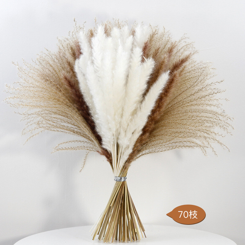Iepure pufos de iarbă de pampa uscată naturală pentru decorarea camerei de acasă Boho Buchet de flori Vest modern Decor de masă pentru dormitor