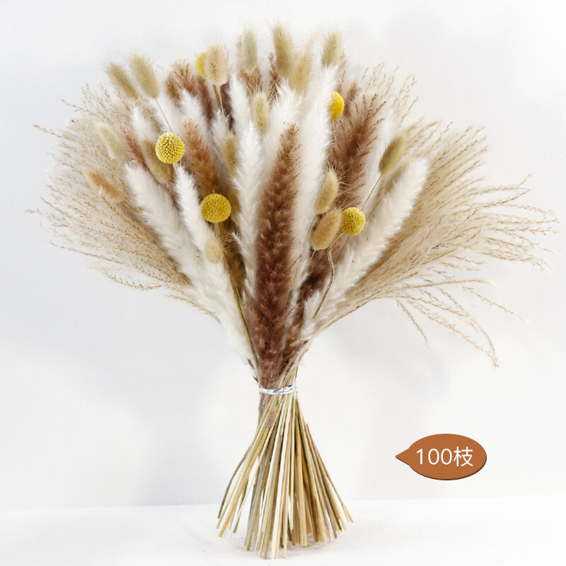 Iepure pufos de iarbă de pampa uscată naturală pentru decorarea camerei de acasă Boho Buchet de flori Vest modern Decor de masă pentru dormitor