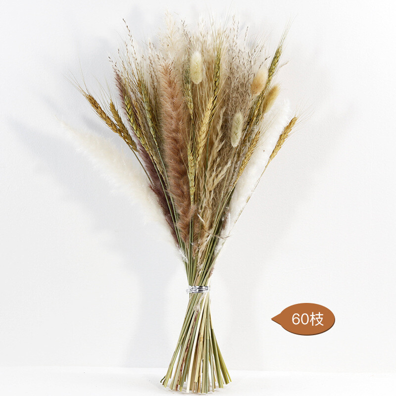 Iepure pufos de iarbă de pampa uscată naturală pentru decorarea camerei de acasă Boho Buchet de flori Vest modern Decor de masă pentru dormitor