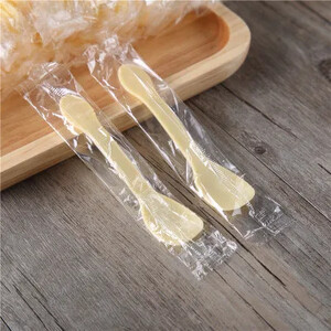 100 vnt. vienkartiniai šaukštai plastikiniai PP, ekologiški, supakuoti atskirai supakuoti ledų plastikiniai šaukštai vienkartiniai