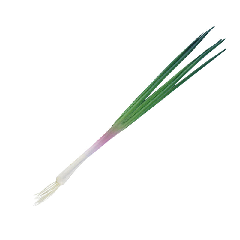 Model de ceapă simulată Decoratiuni cu legume artificiale Scalai realiste Modele de ornamente Ceapă verde falsă