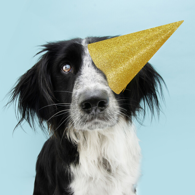 12 db Születésnapi Kalap Kalap Party Felnőtteknek Első Prop Kúp alakú Csillogó Ragasztó Gyermek