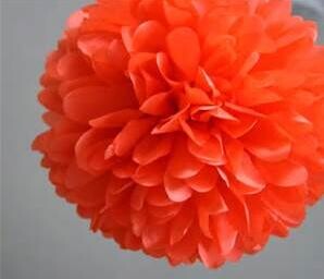10 vnt. miela vaikiško dušo dekoracija 25 cm 10 colių servetėlės gėlės Popieriniai pom poms kamuoliukai žibintai Vakarėlio dekoras Amatų vestuvės