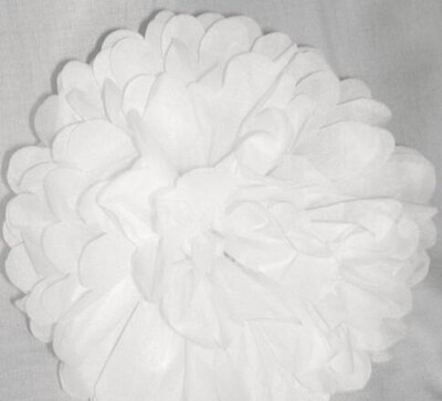 10 vnt. miela vaikiško dušo dekoracija 25 cm 10 colių servetėlės gėlės Popieriniai pom poms kamuoliukai žibintai Vakarėlio dekoras Amatų vestuvės