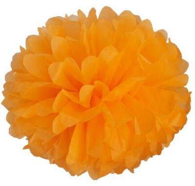10 vnt. miela vaikiško dušo dekoracija 25 cm 10 colių servetėlės gėlės Popieriniai pom poms kamuoliukai žibintai Vakarėlio dekoras Amatų vestuvės
