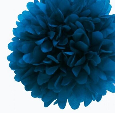 10 vnt. miela vaikiško dušo dekoracija 25 cm 10 colių servetėlės gėlės Popieriniai pom poms kamuoliukai žibintai Vakarėlio dekoras Amatų vestuvės