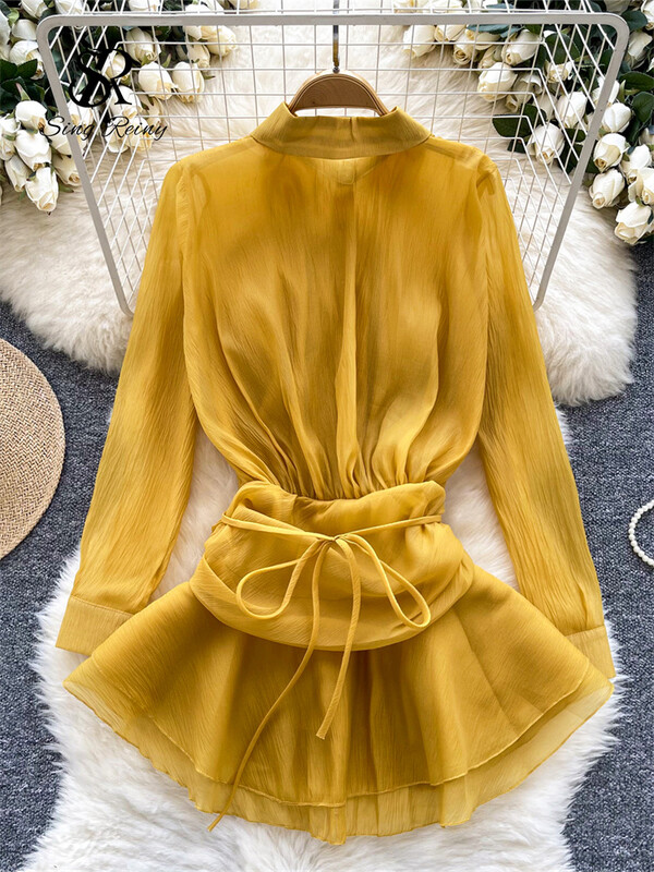 SINGREINY 2024 τρισδιάστατο φλοράλ vintage πουκάμισο μόδας Γυναικείο πέτο με λαιμόκοψη μακριά μανίκια Διαφανές μποέμικο τοπ Φθινοπωρινό φαρδύ μπλούζα από οργάντζα