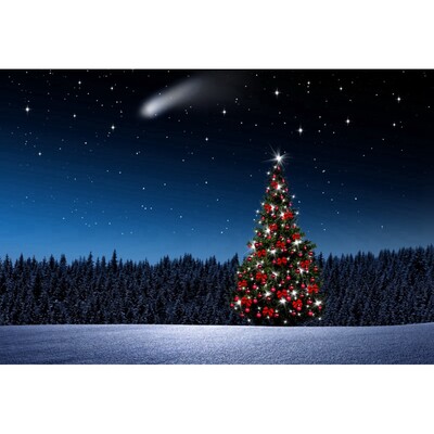 Sötétkék égbolt Hold Csillogó Csillag Fotó Háttér Karácsony Tél Fenyő Erdő Hó Éjszakai Természeti jelenet fotó háttér