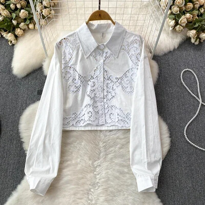 Vintage πουκάμισα για γυναίκες Μόδα γυριστό γιακά μακρύ φουσκωτό μανίκι κούφιο πέτο Μονή μπλούζα φθινοπωρινές ευέλικτες μπλούζες Dropship