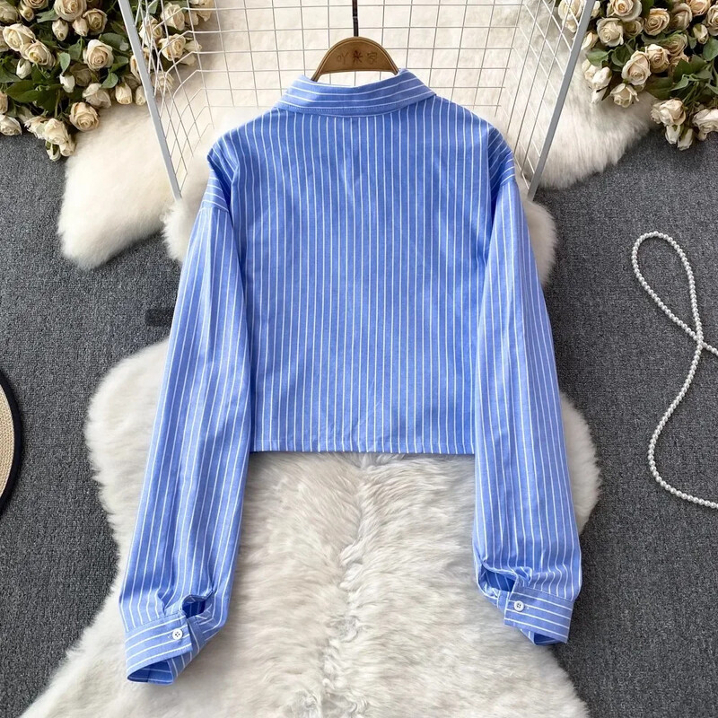 Vintage πουκάμισα για γυναίκες Μόδα γυριστό γιακά μακρύ φουσκωτό μανίκι κούφιο πέτο Μονή μπλούζα φθινοπωρινές ευέλικτες μπλούζες Dropship