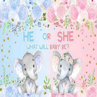 Dzimums Atklājiet fonu Zēns vai meitene Viņš vai viņa Tēma Dzimšanas dienas ballītes fotografēšanas piederumi Bērnu foto rekvizīti Bērnu istabas dekorēšanas piederumi