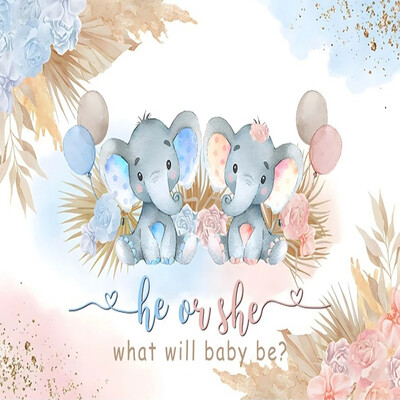 Dzimums Atklājiet fonu Zēns vai meitene Viņš vai viņa Tēma Dzimšanas dienas ballītes fotografēšanas piederumi Bērnu foto rekvizīti Bērnu istabas dekorēšanas piederumi