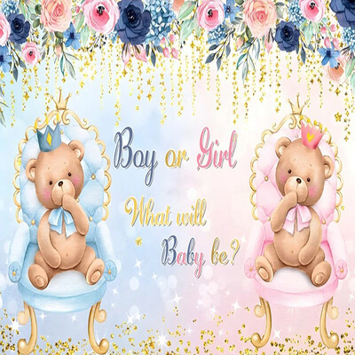 Dzimums Atklājiet fonu Zēns vai meitene Viņš vai viņa Tēma Dzimšanas dienas ballītes fotografēšanas piederumi Bērnu foto rekvizīti Bērnu istabas dekorēšanas piederumi