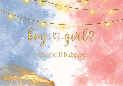 Φόντο αποκάλυψης φύλου Μπλε ροζ Φωτογραφικό πάρτι για αγόρι ή κορίτσι Φόντο Διακοσμητικό ντους νεογέννητου μωρού Φωτογραφικό στούντιο